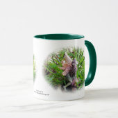 Pixie Mok (Voorkant rechts)