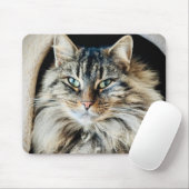 Pixie Mousepad Muismat (Met muis)