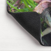 Pixie Muismat (Hoek)