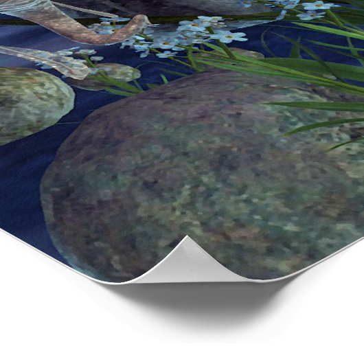 Pixie Power Silver Moon Poster (Hoek)