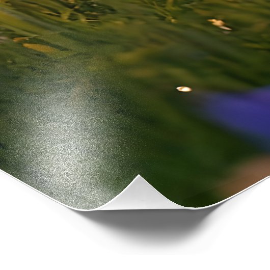 Pixie Robot Ballerina Dansen in de Wildflowers Foto Afdruk (Hoek)