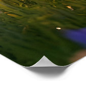 Pixie Robot Ballerina Dansen in de Wildflowers Poster (Hoek)