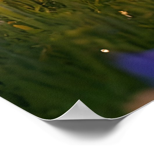 Pixie Robot Ballerina Dansen in de Wildflowers Poster (Hoek)