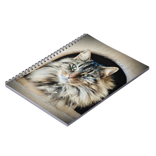 Pixie Spiral-notebook Notitieboek (Linkerzijde)