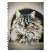 Pixie Spiral-notebook Notitieboek (Voorkant)