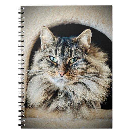 Pixie Spiral-notebook Notitieboek (Voorkant)
