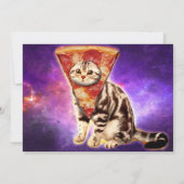 Pizza Head Cat Funny Uitnodiging (Achterkant)