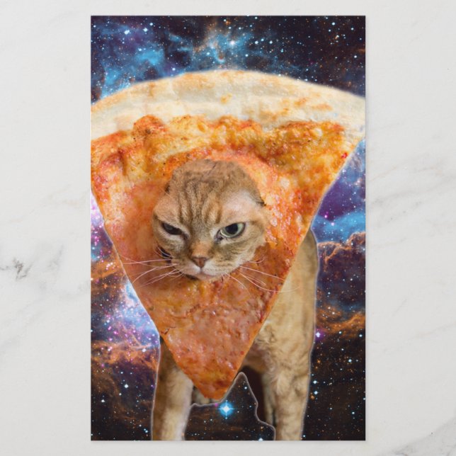 Pizza kat in ruimtesegment (Voorkant)