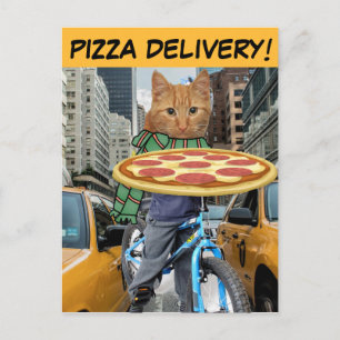 PIZZA LEVERING! CAT NYC-BRIEFKAARTEN BRIEFKAART