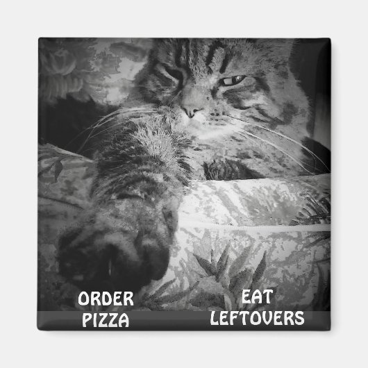 PIZZA OF RESTJES? MAGNEET (Voorkant)