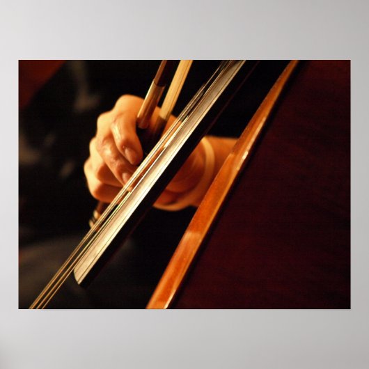 Pizzicato Poster (Voorkant)