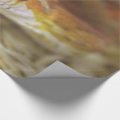 pj de sassy slang inpakpapier (Hoek)