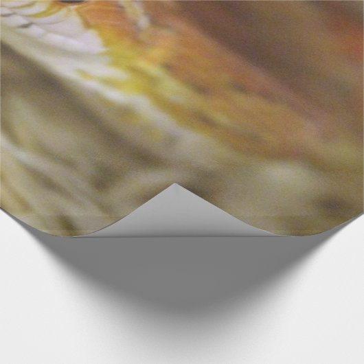 pj de sassy slang inpakpapier (Hoek)