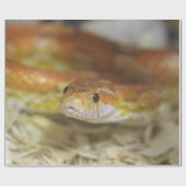 pj de sassy slang inpakpapier (Vlak)