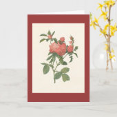 PJ Redoute - Rosa foliacea van centifoliaprolifera Kaart (Gele Bloem)