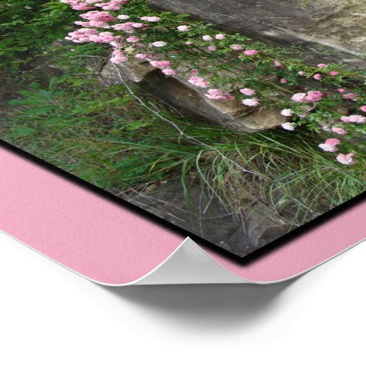 Pk old-fashroses op bluff-ZP Poster (Hoek)