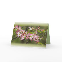 PKdgwood Branch- elke gelegenheid aanpassen