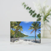 plaag van guadeloupe briefkaart (Staand voorkant)