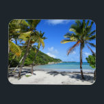 plaag van guadeloupe magneet<br><div class="desc">plaag van de guadeloupe avec des palmiers</div>