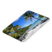 plaag van guadeloupe magneet (Linkerzijde)