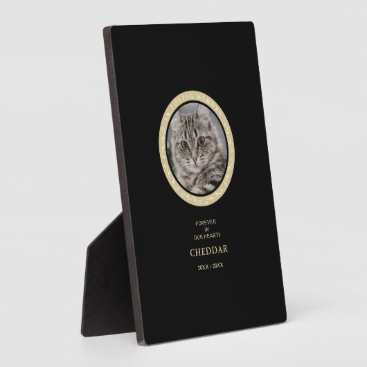 Plaat met lessenaar (Zijkant)