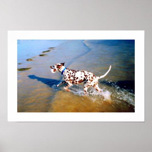 PLAATS DE DALMATIAANSE DOG POSTER (Voorkant)