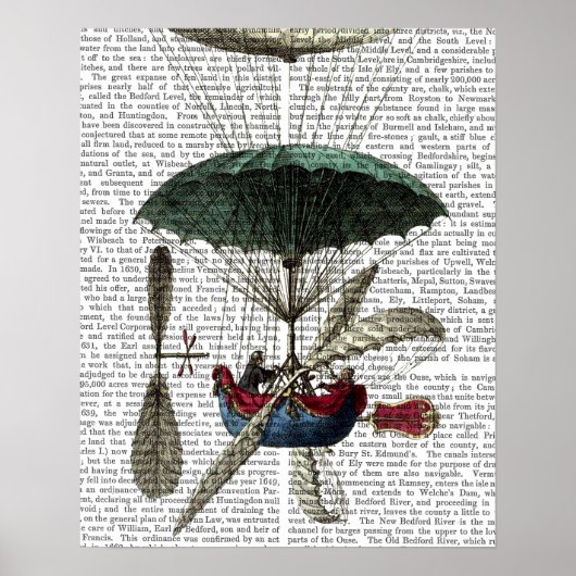 Plaats Du Louvre Hot Air ballon Poster (Voorkant)