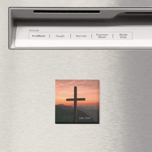  plaats magneet (Insitu (Vaatwasser))