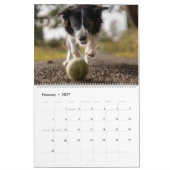 Plaats mijn Afbeeldingen elke maand Kalender (Feb 2027)