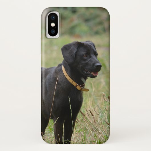 Plaats uw eigen foto van uw labrador-retriever Case-Mate iPhone case (Achterkant)