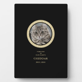 Placa con atril fotoplaat