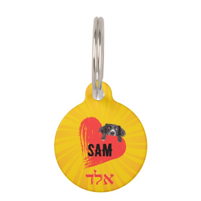 Placa para mascotas, Pequeña, ¨b'li ayin hara¨ Huisdierpenning (Voorkant)