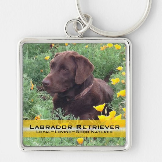 Placeholder Chocolate Lab Aangepaste Foto en Tekst Sleutelhanger (Voorkant)
