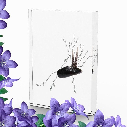 Placenta anatomie health science biotion gedicht k fotoblokken