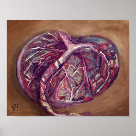 Placenta art poster - vroedvrouw kantoor, doulas (Voorkant)