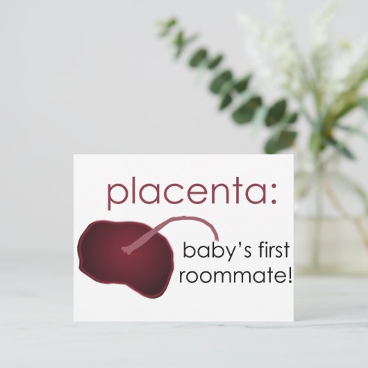 placenta, baby's first roommate briefkaart (Staand voorkant)