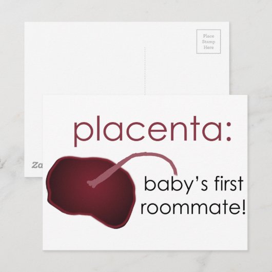 placenta, baby's first roommate briefkaart (Voorkant / Achterkant)