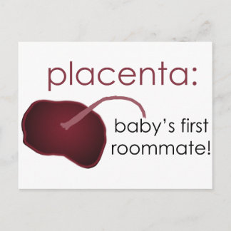 placenta, baby's first roommate briefkaart