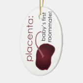 placenta, de eerste kamergenoot van de baby keramisch ornament (Links)