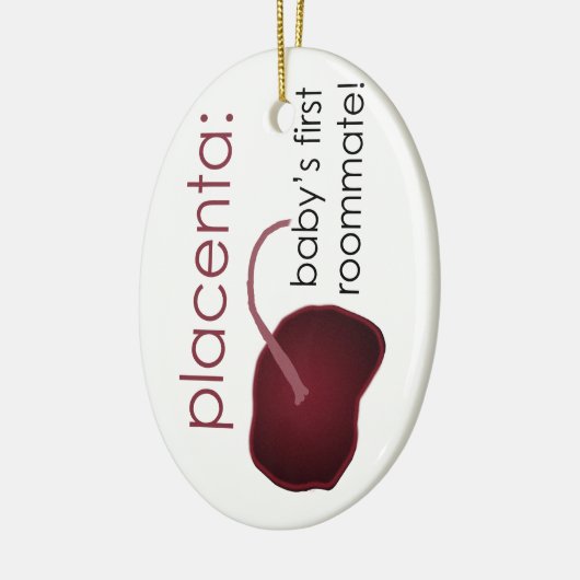 placenta, de eerste kamergenoot van de baby keramisch ornament (Links)