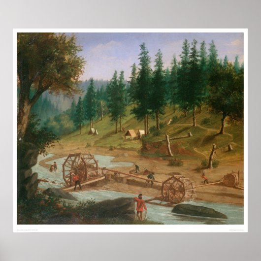 Placer Mining at Foster's Bar, California (1331A) Poster (Voorkant)