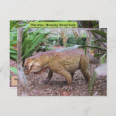 Placerias - * Dinosaur - Leerkaart Briefkaart (Voorkant / Achterkant)