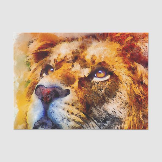 Placid Lion Face Tissuepapier (Voorkant)