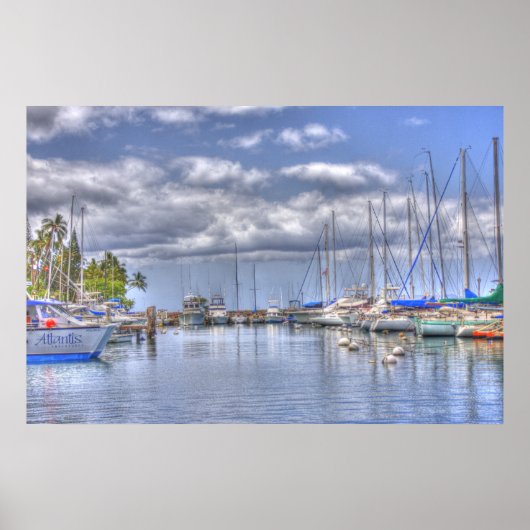 Placid Maui Harbor Poster (Voorkant)