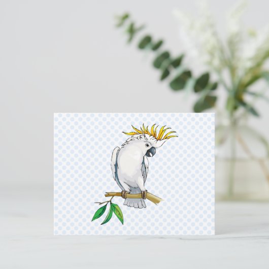 Placido Parrot Briefkaart (Staand voorkant)