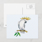 Placido Parrot Briefkaart (Voorkant / Achterkant)