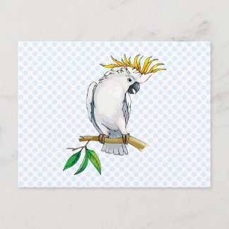 Placido Parrot Briefkaart