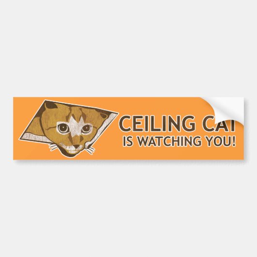 Plafond Kat kijkt naar je! Bumpersticker (Voorkant)