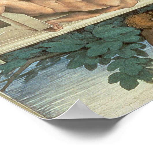 Plafond voor sistine Chapel Poster (Hoek)