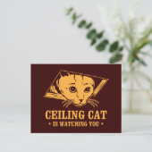 Plafondkat kijkt naar je briefkaart (Staand voorkant)